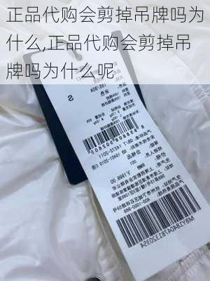 正品代购会剪掉吊牌吗为什么,正品代购会剪掉吊牌吗为什么呢