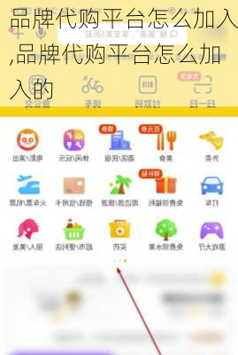 品牌代购平台怎么加入,品牌代购平台怎么加入的