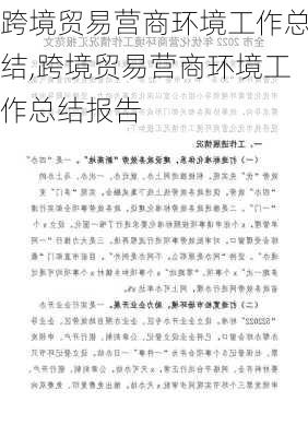 跨境贸易营商环境工作总结,跨境贸易营商环境工作总结报告