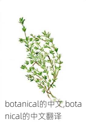 botanical的中文,botanical的中文翻译