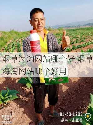 烟草海淘网站哪个好,烟草海淘网站哪个好用