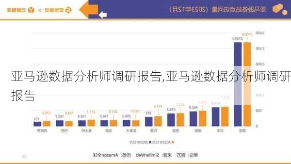 亚马逊数据分析师调研报告,亚马逊数据分析师调研报告