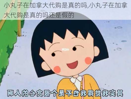 小丸子在加拿大代购是真的吗,小丸子在加拿大代购是真的吗还是假的