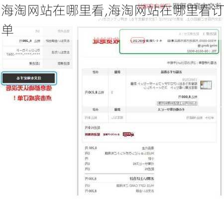 海淘网站在哪里看,海淘网站在哪里看订单