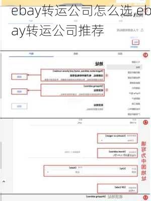 ebay转运公司怎么选,ebay转运公司推荐