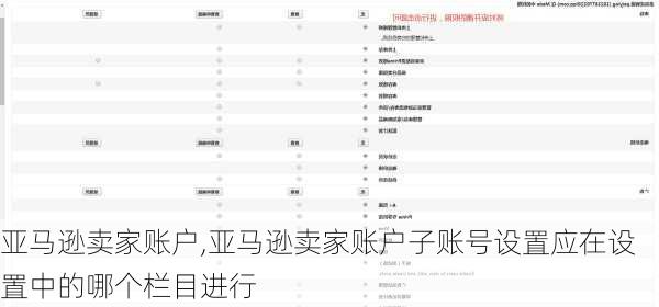 亚马逊卖家账户,亚马逊卖家账户子账号设置应在设置中的哪个栏目进行