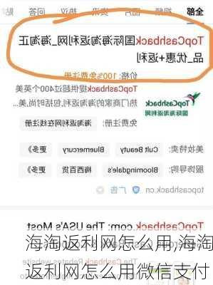 海淘返利网怎么用,海淘返利网怎么用微信支付