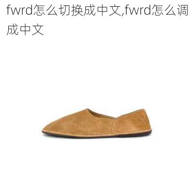 fwrd怎么切换成中文,fwrd怎么调成中文