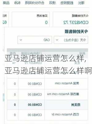 亚马逊店铺运营怎么样,亚马逊店铺运营怎么样啊