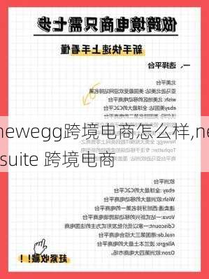 newegg跨境电商怎么样,netsuite 跨境电商