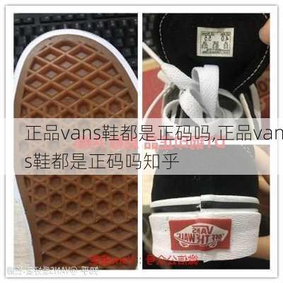 正品vans鞋都是正码吗,正品vans鞋都是正码吗知乎