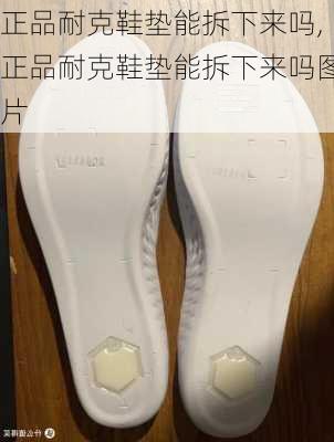 正品耐克鞋垫能拆下来吗,正品耐克鞋垫能拆下来吗图片