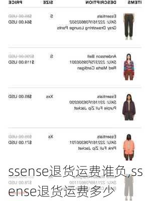 ssense退货运费谁负,ssense退货运费多少