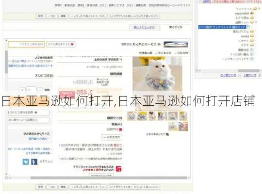 日本亚马逊如何打开,日本亚马逊如何打开店铺