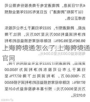 上海跨境通怎么了,上海跨境通官网