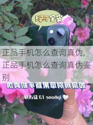 正品手机怎么查询真伪,正品手机怎么查询真伪鉴别