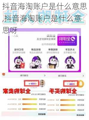 抖音海淘账户是什么意思,抖音海淘账户是什么意思呀