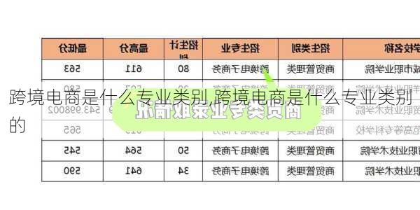 跨境电商是什么专业类别,跨境电商是什么专业类别的