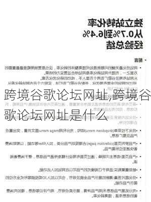 跨境谷歌论坛网址,跨境谷歌论坛网址是什么