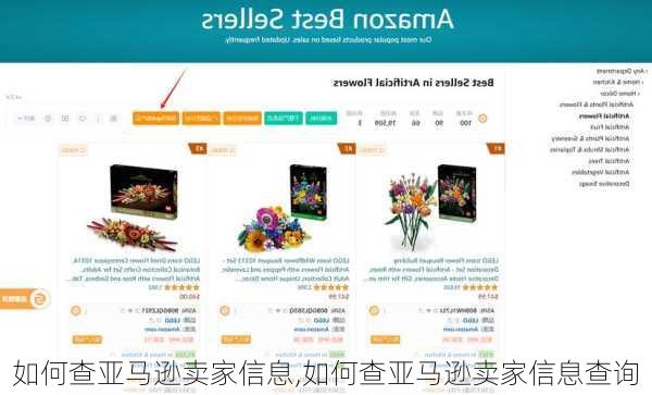 如何查亚马逊卖家信息,如何查亚马逊卖家信息查询