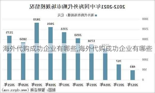 海外代购成功企业有哪些,海外代购成功企业有哪些