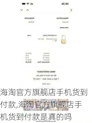 海淘官方旗舰店手机货到付款,海淘官方旗舰店手机货到付款是真的吗