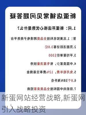 新蛋网站经营战略,新蛋网引入战略投资