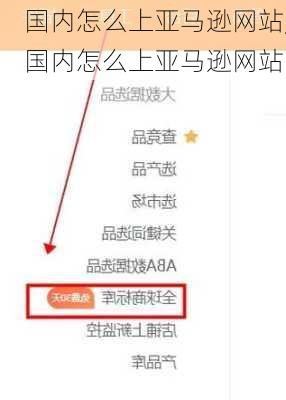 国内怎么上亚马逊网站,国内怎么上亚马逊网站
