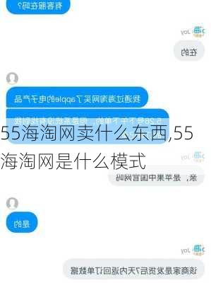 55海淘网卖什么东西,55海淘网是什么模式