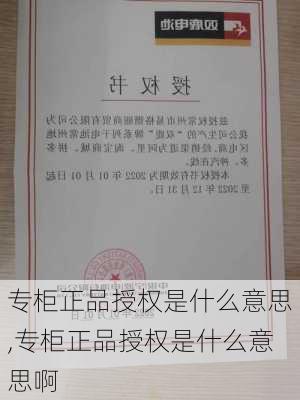 专柜正品授权是什么意思,专柜正品授权是什么意思啊