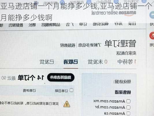 亚马逊店铺一个月能挣多少钱,亚马逊店铺一个月能挣多少钱啊