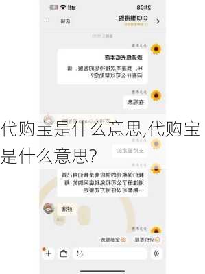 代购宝是什么意思,代购宝是什么意思?