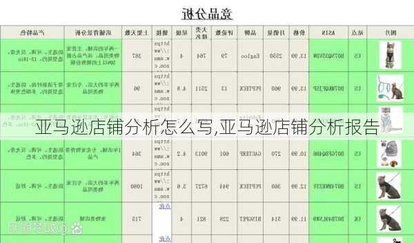 亚马逊店铺分析怎么写,亚马逊店铺分析报告