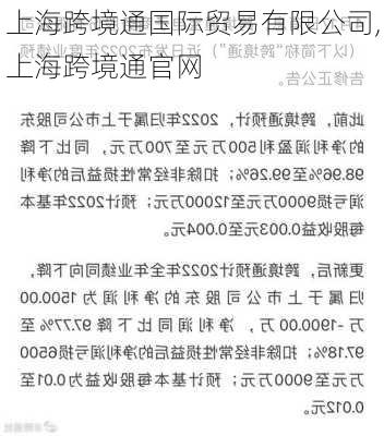 上海跨境通国际贸易有限公司,上海跨境通官网