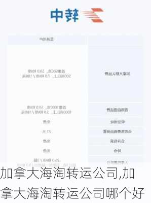 加拿大海淘转运公司,加拿大海淘转运公司哪个好