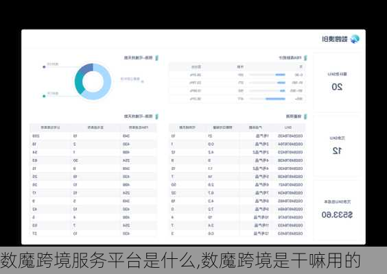 数魔跨境服务平台是什么,数魔跨境是干嘛用的