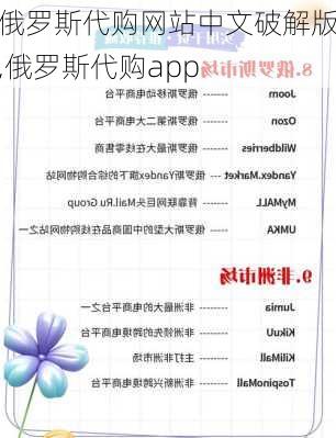 俄罗斯代购网站中文破解版,俄罗斯代购app