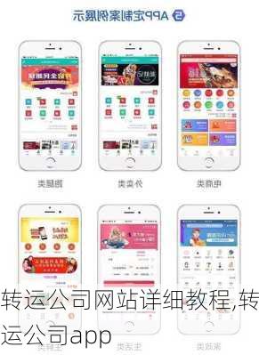 转运公司网站详细教程,转运公司app