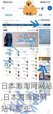日本海淘网网站,日本海淘网网站有哪些