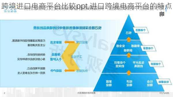 跨境进口电商平台比较ppt,进口跨境电商平台的特点