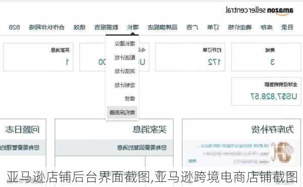 亚马逊店铺后台界面截图,亚马逊跨境电商店铺截图