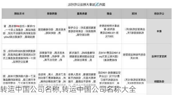 转运中国公司名称,转运中国公司名称大全